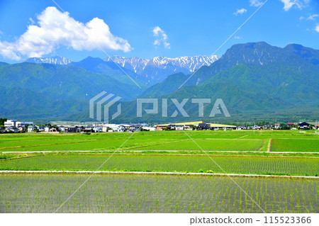View of Mount Jonen and Mount Ariake from Ikeda Town (Ikeda Town, Nagano Prefecture) [June 2024] 115523366