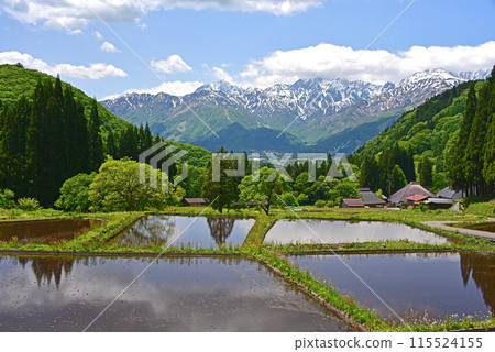 五月的白馬:北阿爾卑斯山和青二村的梯田 五月的白馬:北阿爾卑斯山和青二村的梯田 115524155