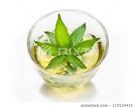 Lemon Verbena Tea Refreshing lemon verbena tea in a clear glass with verbena leaves and 115524415