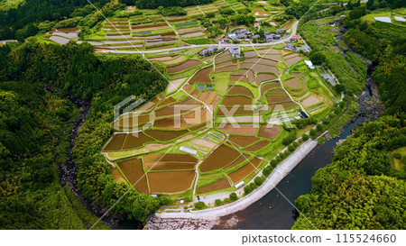 Rice terraces photographed by drone 115524660