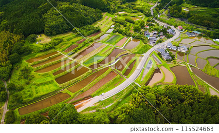Rice terraces photographed by drone 115524663