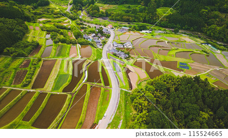 Rice terraces photographed by drone 115524665
