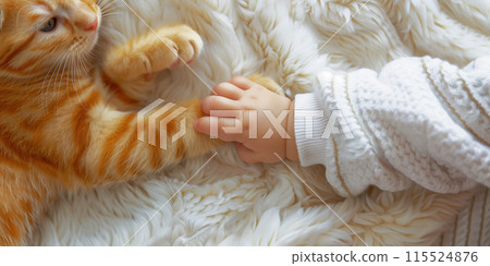Cute baby hand holding cat's hand 115524876