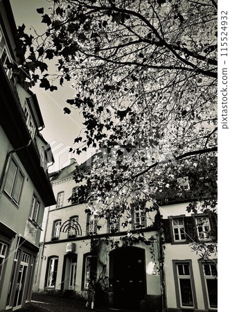A town that retains vestiges of the Middle Ages 115524932