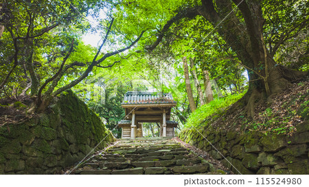 Photo of the shrine gate and stone steps 115524980