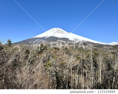 Mount Fuji as seen from Koshikirizuka 115524994
