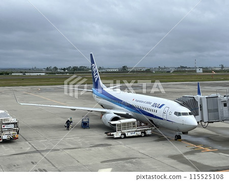 ANA preparing for departure at Sendai Airport ANA preparing for departure at Sendai Airport 115525108