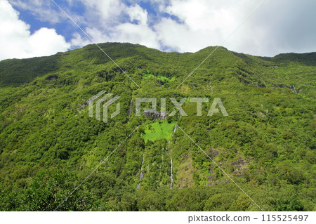 新娘面紗瀑布從位於法國海外省留尼旺島中心的世界遺產薩拉濟冰斗的懸崖上流過。 115525497
