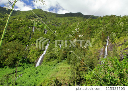 The Bride's Veil Falls flow down the cliffs of the Cirque de Salazie, a World Heritage Site located in the center of the French overseas department of Reunion Island. 115525503