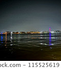 倒映在海中的工廠夜景 115525619