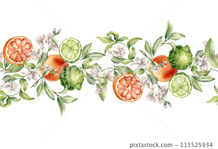 Jasmine flowers with citrus fruits grapefruit and bergamot watercolor seamless border isolated. Hand drawn summer plants with orange green peel in botanical sketch for aroma products label, textile Jasmine flowers with citrus fruits grapefruit and bergamot watercolor seamless border isolated. Hand drawn summer plants with orange green peel in botanical sketch for aroma products label, textile 115525934