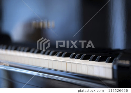 鋼琴鍵盤 115526636