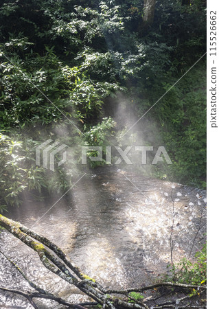 Fresh greenery and clear stream eco-image Oyama Kiyazawa Stream Fresh greenery and clear stream eco-image Oyama Kiyazawa Stream 115526662