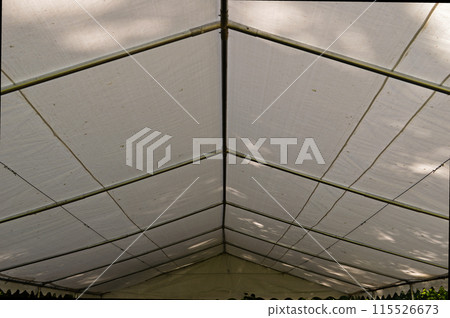 Steel frame tents Background. Inside Big Canvas Tent 115526673