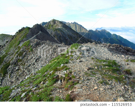 大基列嶺路線 / 盛夏時沿著大基列嶺線行走，眺望Yarihotaka橫貫路線 115526953