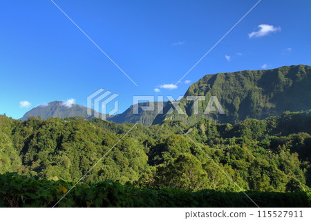 Mountain view from the hilltop of Salazy village, the base of the Salazy Valley, a World Heritage Site on the French overseas island of Reunion 115527911