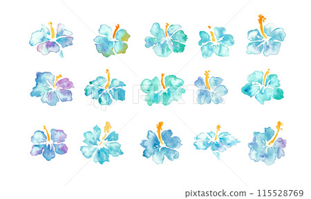 水彩。帶有水彩觸感的芙蓉插圖。熱帶藍色芙蓉向量水彩框架背景。 水彩。帶有水彩觸感的芙蓉插圖。熱帶藍色芙蓉向量水彩框架背景。 115528769