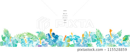 水彩。帶有水彩觸感的芙蓉插圖。熱帶藍色芙蓉向量水彩框架背景。 115528859