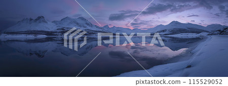 AI-generated item. Panoramic view of the aurora borealis in the night sky. 115529052