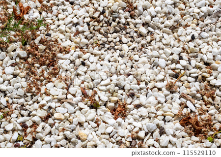 A close up image showing a pile of white gravel scattered on the ground 115529110