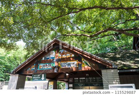 井之頭自然文化花園動物園入口，晴朗的夏日天空，東京武藏野市 115529887