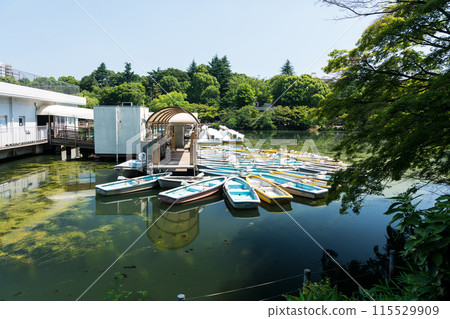 Inokashira Park, Inokashira Pond, Boat Dock, Clear Summer Sky, Mitaka City, Tokyo 115529909