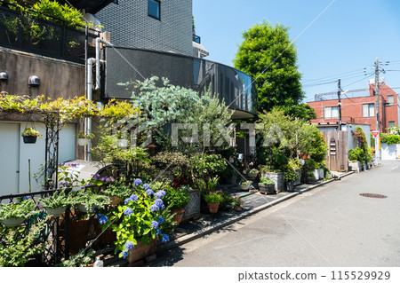 吉祥寺花店,晴朗的夏日天空,武藏野市,東京 吉祥寺花店,晴朗的夏日天空,武藏野市,東京 115529929
