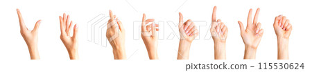 Set of woman hands showing different gestures, pointing and showing signs Set of woman hands showing different gestures, pointing and showing signs 115530624