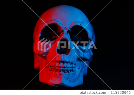 skeleton on black background skeleton on black background 115530945
