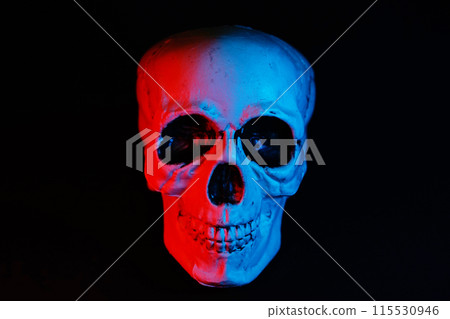 Skeleton on a black background 115530946