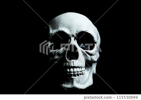 Skull on black background Skull on black background 115530949