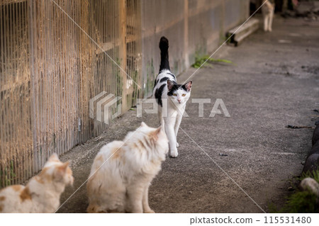 Cat Heaven: The Last Boss Appears 115531480