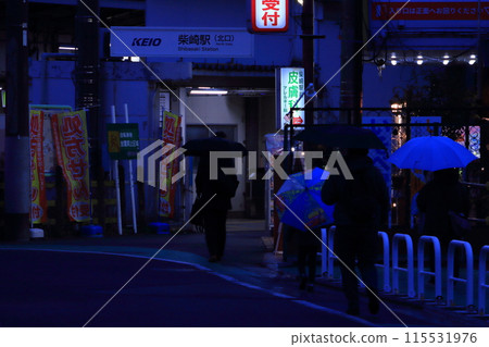 Keio Railway "Shibasaki Station" station building 115531976