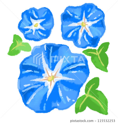 三朵牽牛花，具有涼爽的亮藍色 115532253