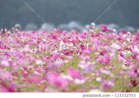 有宇宙的風景 115532553