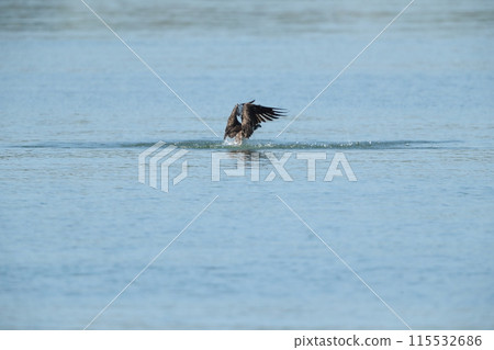 Hunting of the Osprego Hunting of the Osprego 115532686