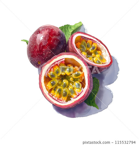 白色背景百香果的水彩插圖 白色背景百香果的水彩插圖 115532794