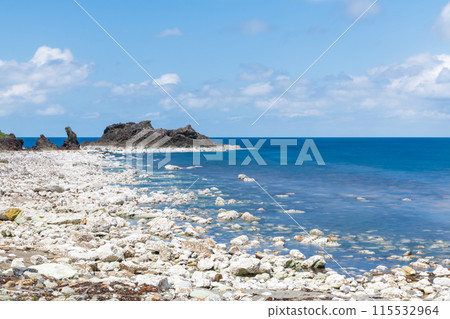 White coastline created by the seafloor rising due to earthquake 115532964