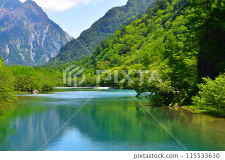 Spring, Kamikochi, Taisho Pond Spring, Kamikochi, Taisho Pond 115533630
