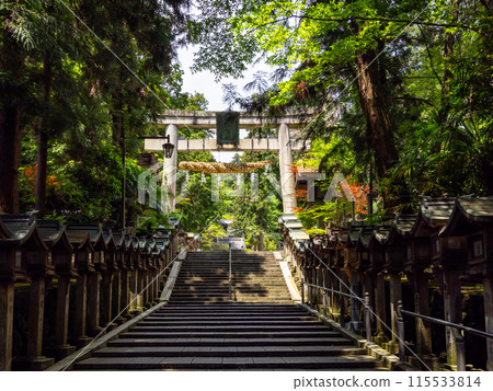 [Nara Prefecture] Hozanji Temple, Ikoma City (photographed on June 4, 2024) 115533814
