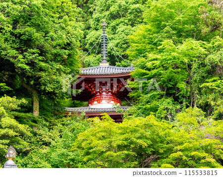 [Nara Prefecture] Hozanji Temple, Ikoma City (photographed on June 4, 2024) 115533815