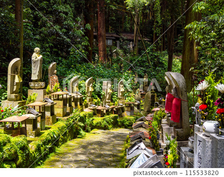 [Nara Prefecture] Hozanji Temple, Ikoma City (photographed on June 4, 2024) 115533820