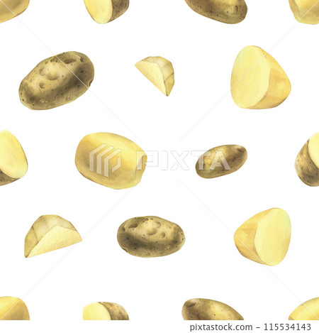 White potatoes, peeled whole tubers and slices . Watercolor illustration, hand drawn on the theme of harvest, cooking, food, packaging, vegetable shop design. Seamless pattern simple 115534143