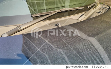 Spring is here! Car pollen ~pollen 115534269