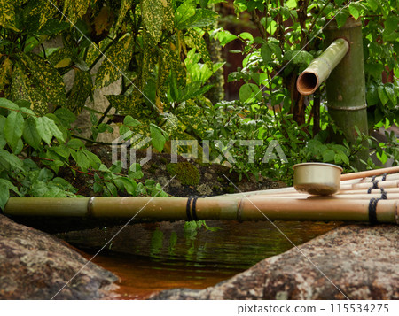 Scenery of a Japanese garden in a tourist spot in early summer 115534275