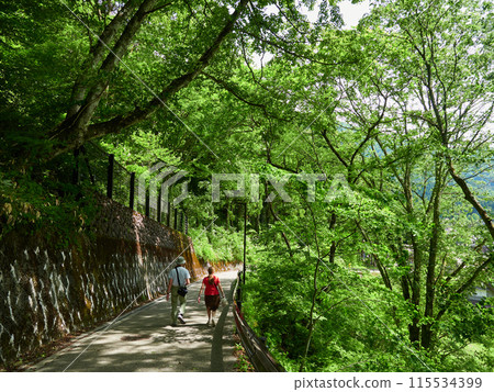 Scenery of tourists at the tourist destination Shirakawa-go in early summer Scenery of tourists at the tourist destination Shirakawa-go in early summer 115534399