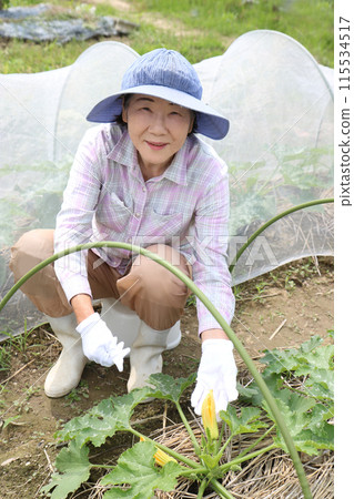 銀色女人看著西葫蘆，昆蟲網打開，看著相機 115534517