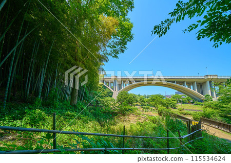 View of Kamiyato Bridge in Wakabadai, Inagi City, Tokyo from near the bamboo grove in the park 115534624