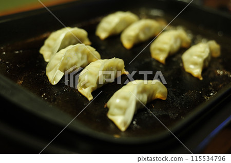 Dumpling party Dumpling party 115534796