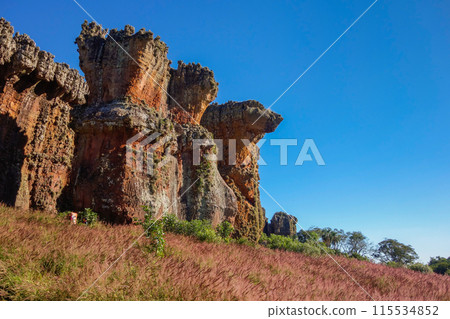 sandstone geological monuments, or Arenitos, in Vila Velha State Park. Ponta Grossa, Parana, Brazil 115534852